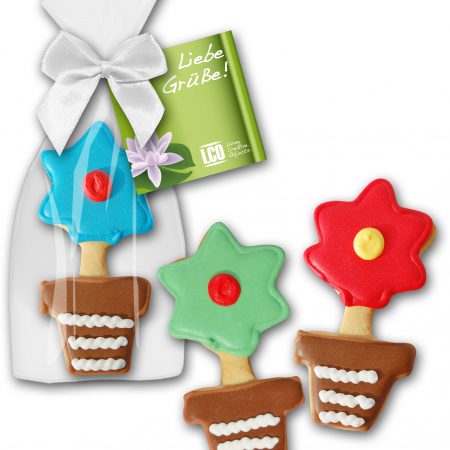 Cookie Blume im Topf
