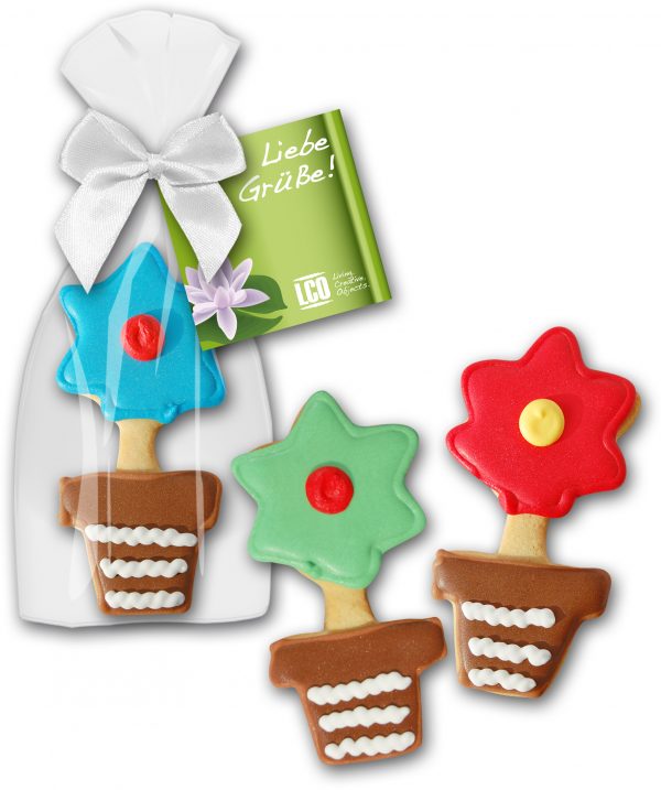 Cookie Blume im Topf