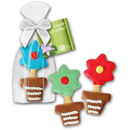Cookie Blume im Topf