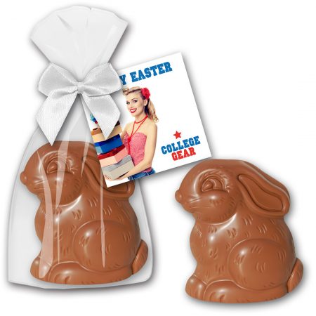 Osterhase mit bedruckter Karte