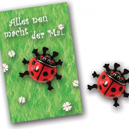 Grußkarte mit Schokokäfer