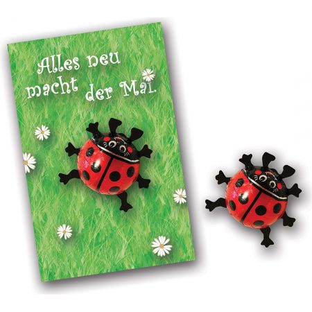 Pralinen - Nougatkäfer auf Karte